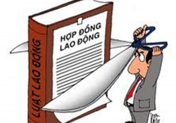 Bộ luật lao động có quy định về gia hạn Hợp đồng lao động ?