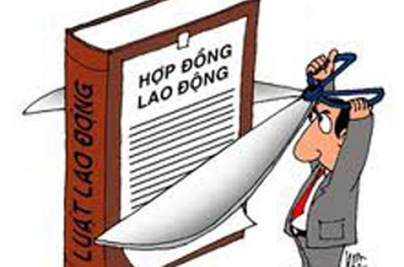 Hợp đồng lao động và gia hạn Hợp đồng lao động 